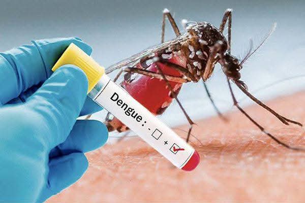 Dengue